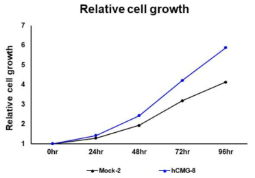 CMG 과발현 안정세포주에서 세포 성장 속도 확인