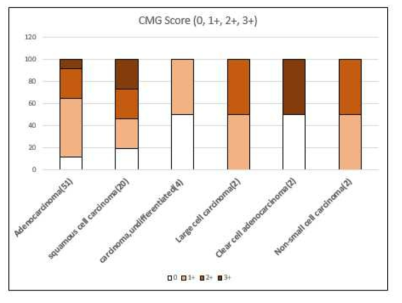 Histology에 따른 CMG 발현 비교 분석