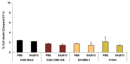 선별된 항체 SA2613에 대한 세포 사멸 효능 확인 (Caspase3/7 염색)