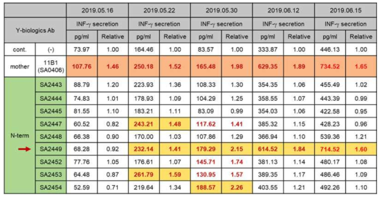 선도물질 최적화 단계를 통해 선별된 항체들에 대한 면역 항암효능 확인 (INF-gamma 분비량 측정)