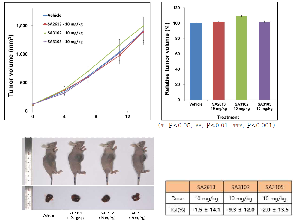 Huh7 human liver cancer 세포주를 이용한 tumor xenograft model에서 SA2613, SA3102, SA3105에 대한 반응성 비교 분석