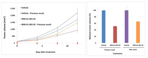 LLC-1 syngeneic mouse model에서 WM-A1-001#2 (SA0406: 11B1) 투여 후 종양 성장 억제 효능 확인