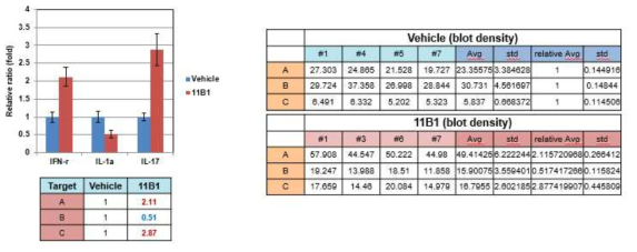 LLC-1 syngeneic mouse model에서 약물 투여에 따른 cytokine 변화 분석