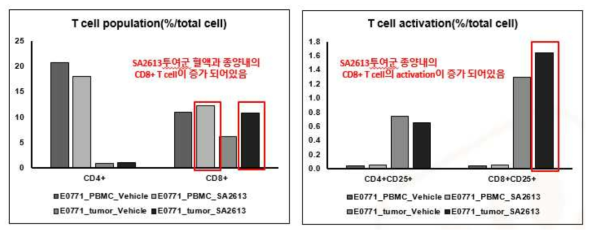 E0771 syngeneic mouse model에서 CMG 항체 (SA2613: CMG C-term 항체: 백업 항체 스크리닝을 통해 선별된 항체)투여 후 T cell activation 확인