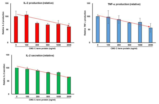 CMG C-말단 단백질에 의한 T 세포 활성화 관련 cytokine 분석