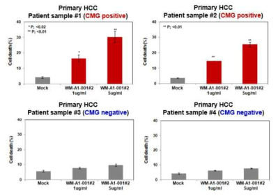 간암 환자 유래 세포주에서 CMG 발현에 따른 항체 항암제의 항암 효능 확인