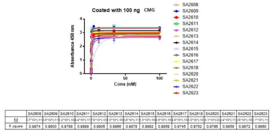 CMG에 대한 binding affinity 분석 결과