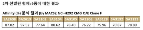 2차 선별된 9종의 항체