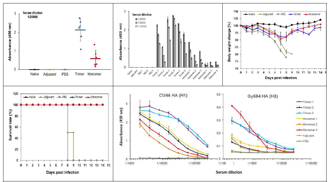 CU44 HA F88E/V91W monomer 항원효능 실험 결과. (위) Serum 항체 형성 및 western blotting 결과, 마우스 체중변화, (아래) 생존율, 생성된 항체의 H1 및 H3에 대한 ELISA 실험 결과