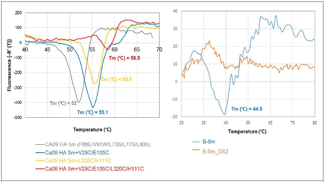 H1, B HA monomer mutant의 thermostability 비교