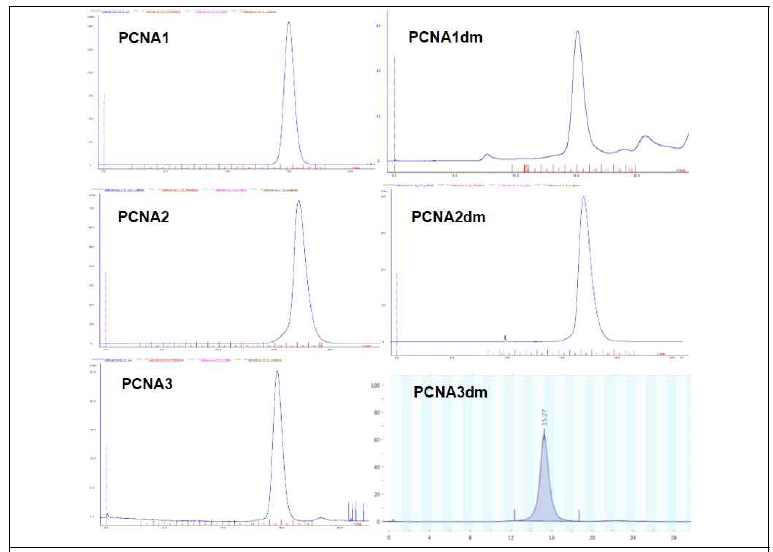 Sso PCNA subuni 의 SEC 결과