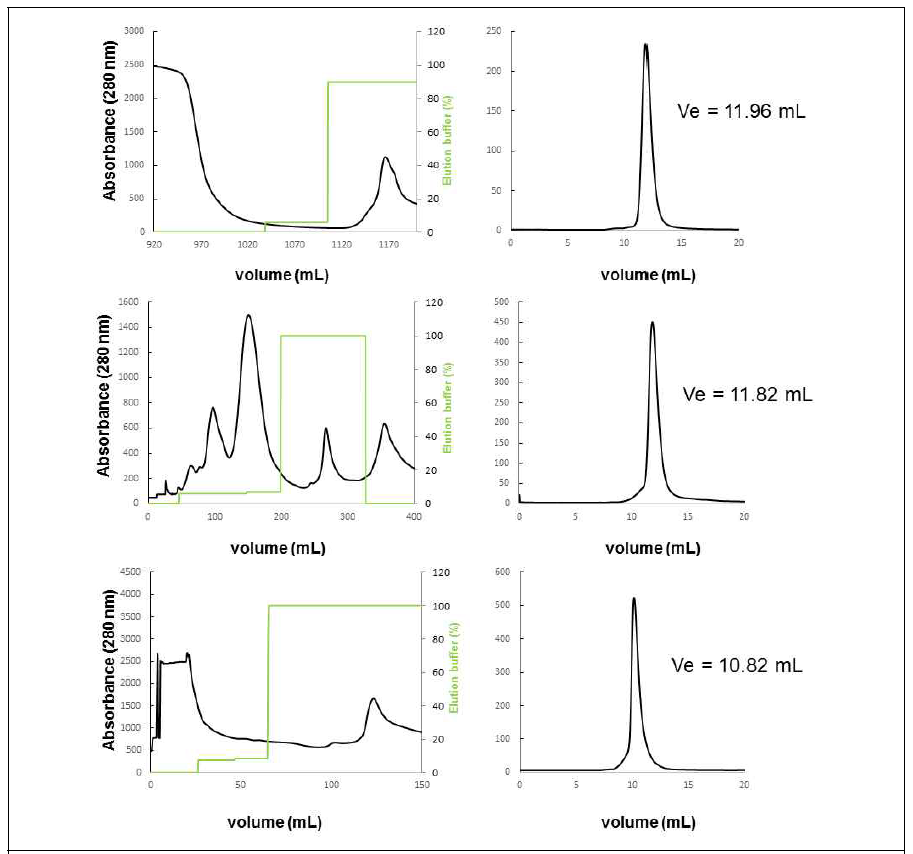 HA-PCNAdm 융합단백질의 Ni-NTA affinity chromatography, SEC 및 SDS-PAGE 결과 (위로부터 H1, B, H3 HA-PCNAdm 융합단백질)
