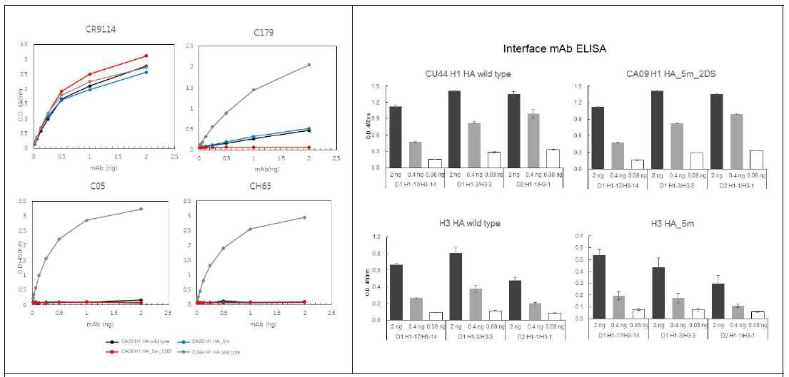 항체-항원 반응결과. C05, CH65), stem 부분을 표적으로 하는 항체를 (CR9114, C179) CA09 H1 HA wild type, CA09 H1 HA_5m, CA09 H1 HA_5m_2DS, CU44 H1 HA wild type항원에서의 binding 효과를 보기 위한 ELISA 실험결과와, (나) trimer의 interface를 표적으로하는 항체를 (D1 H1-17/H3-14, D1 H1-3/H3-3, D2 H1-1/H3-1)를 CA09 HA_5m_2DS, CU44, GY684 (H3) HA wild type, GY684 (H3) HA_5m의 항원에서의 binding 효과를 보기 위한 ELISA 실험결과