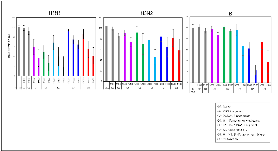 Monomer 대비 scaffold 다중항원 동물실험의 H1 (왼쪽), H3 (가운데), B (오른쪽)에 대한 항체 형성 plaque reduction neutralization assay 결과