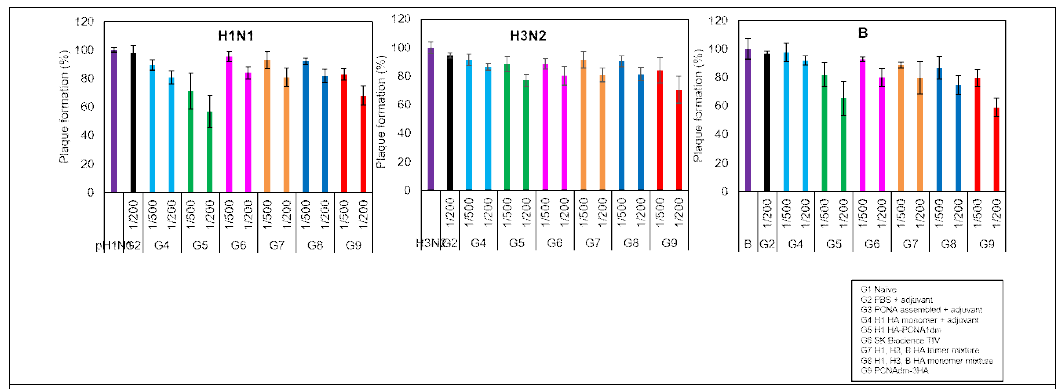Monomer 대비 scaffold 다중항원 동물실험의 H1 (왼쪽), H3 (가운데), B (오른쪽)에 대한 항체 형성 plaque reduction neutralization assay 결과