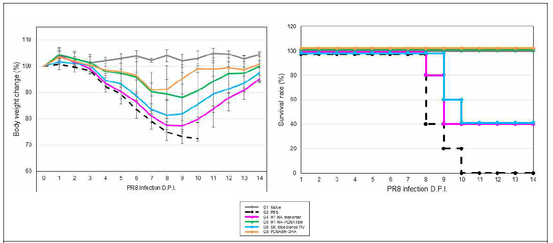 PR8에 감염된 마우스에서의 serum transfer 접종에 따른 마우스 체중감량 곡선 (왼쪽) 및 생존율 곡선 (오른쪽)