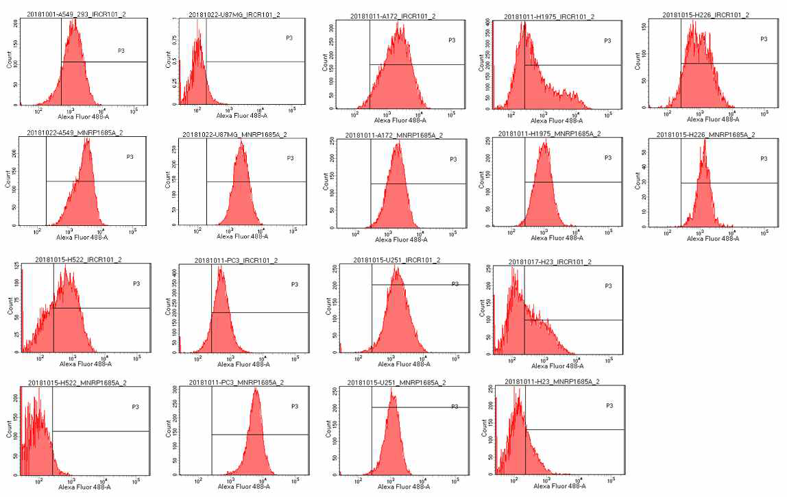 다암종 세포주 FACS 분석 결과