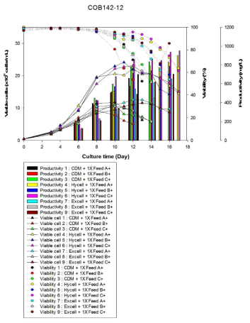 COB142-12 세포주 배양 결과