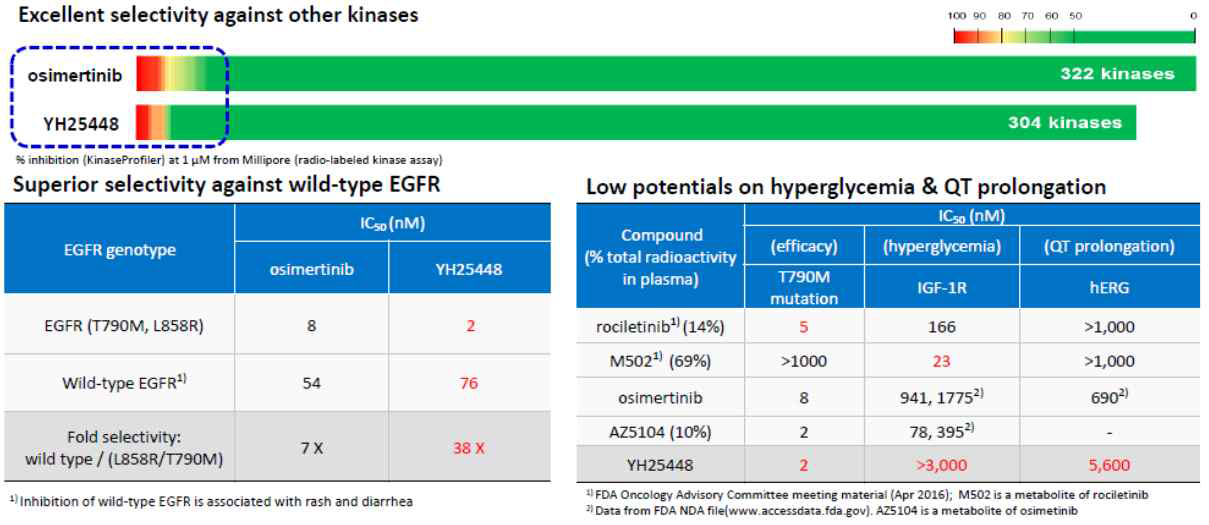 YH25448의 kinase 선택성