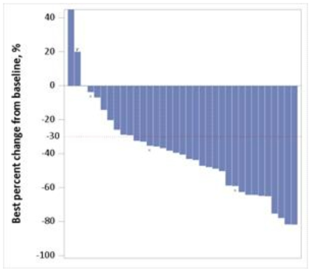 파트 C 1차 치료제군: 연구자 평가에 의한 기저치 대비 종양 크기의 변화(waterfall plot)