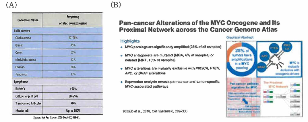 (A) Myc overexpression in various cancers and (B) Myc oncogene as a biomarker