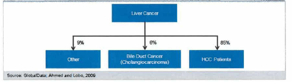 Breakdown of liver cancer into different categories