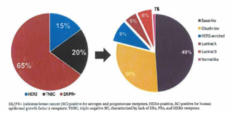 Heterogeneity of triple-negative breast cancers (Physicians’ education resource)