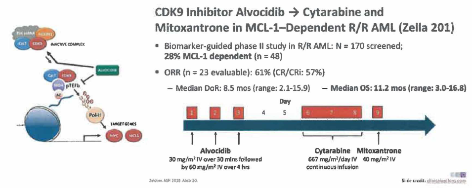Alvocidib: Cytarabine and mitoxantrone in MCL-1 -dependent R/R AML