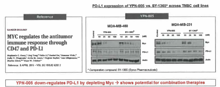 YPN-005 can influence the tumor microenvironment via immune checkpoint pathway