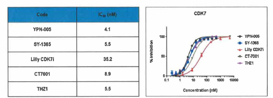 Inhibitory concentration 50% (IC50) of YPN-005 and CDK7 inhibitors against CDK7