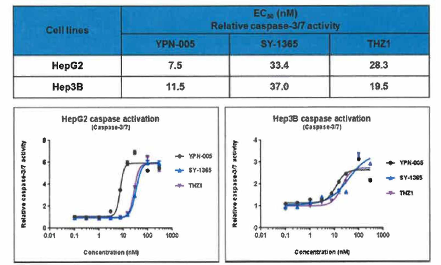 Effective concentration 50% (EC 50) of YPN-005 for relative caspase-3/7 activity