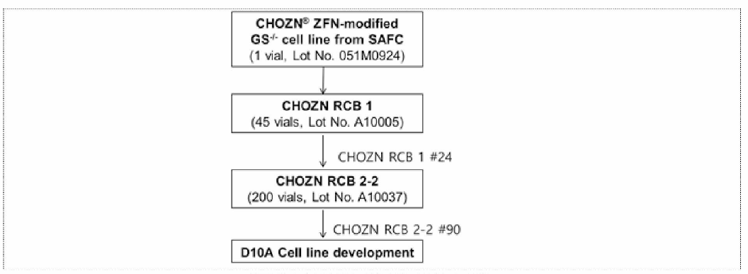 D10A 세포주 구축 모식도