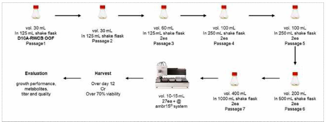 USP stage 1의 scheme