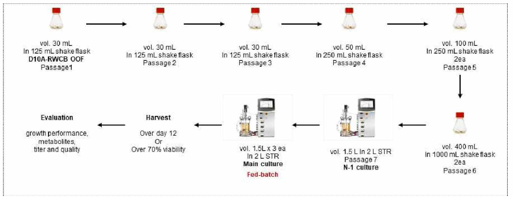 USP Stage 2의 scheme