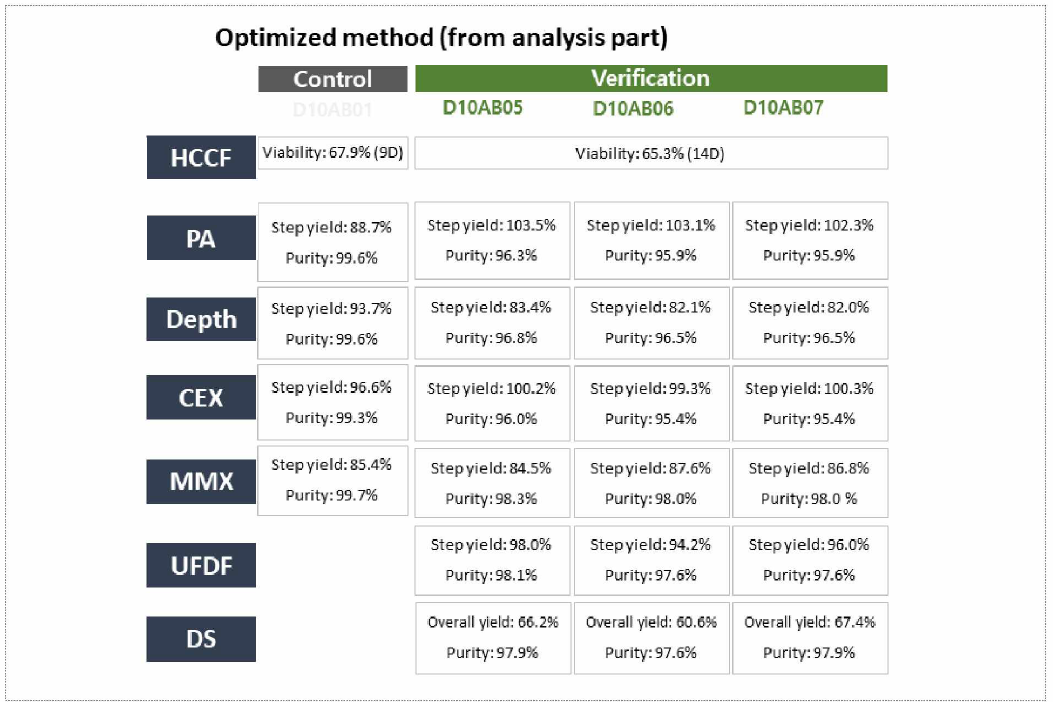 DSP verification run 결과