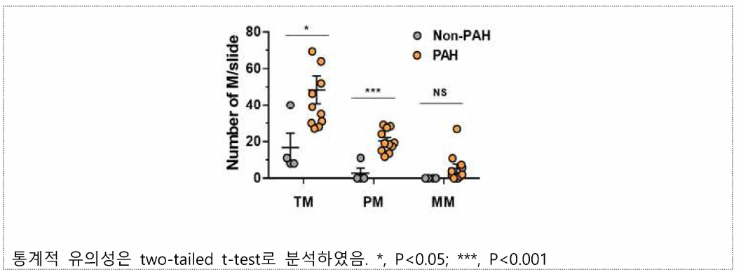 N3-9ML 항체를 이용한 macrophage 염색 패턴