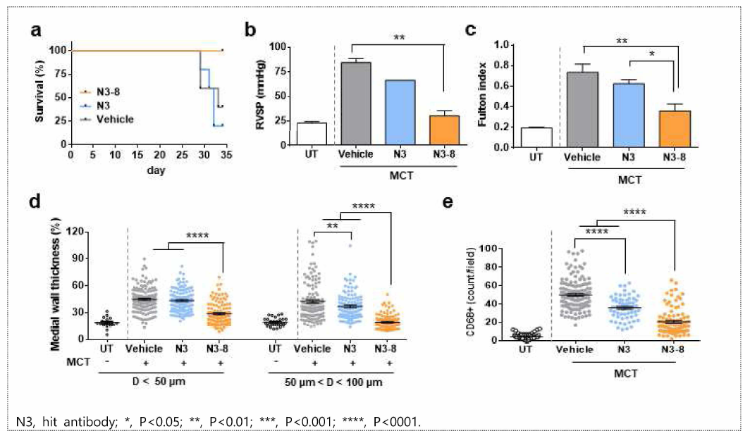 N3-8 항체의 MCT 모델에서의 효능