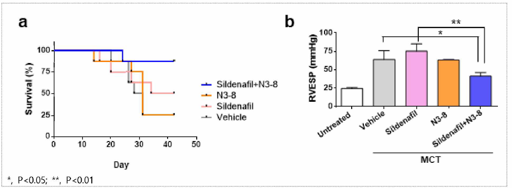 N3-8 항체와 sildenafil의 MCT 모델에서의 병용 투여 효과