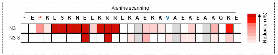 Anti-KRS antibodies와 KRS의 결합관련 epitope mapping 결과