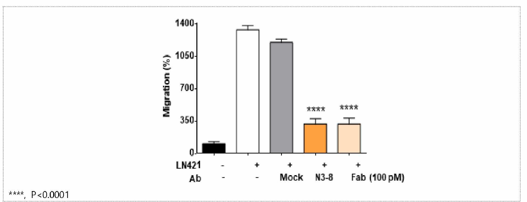 N3-8 항체와 Fab의 migration 저해 효능 비교