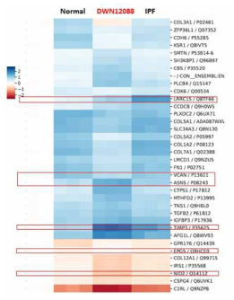 IPF 환자유래 폐섬유아세포를 이용한 Global Proteomics 결과