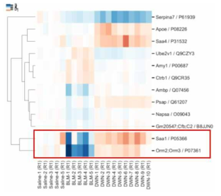 Global Proteomics(BLM induced-mouse plasma) 결과