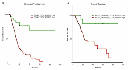 췌장암 환자에서 RON 과발현에 의한 생존율 (Oncogene, 2019, 38, 5599-5611)
