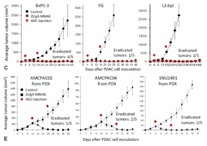 췌장암 세포주 및 환자 유래 동물 모델에서 RON 저해에 의한 항암 효능 (BBA-Reviews on cancer, 2020, 1873)