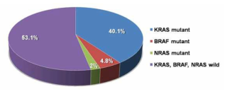 대장암 환자에서 KRAS, NRAS, BRAF 돌연변이 비율 (국립암센터 출처)