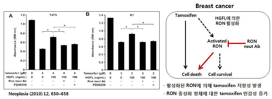 Breast cancer에서 RON에 의한 tamoxifen 저항성 및 RON 항체의 효능