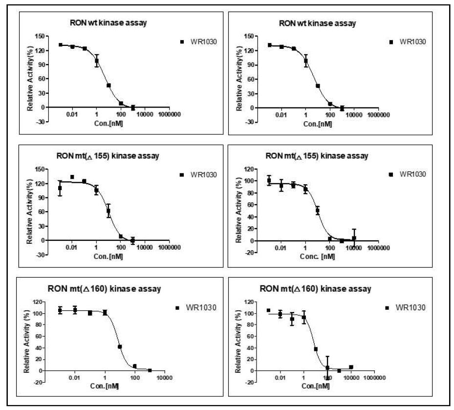 RON mutant kinase enzyme assay 결과