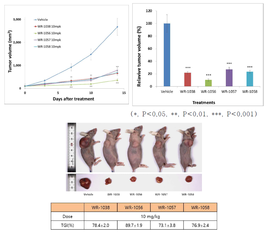 KM12C human colon cancer 세포주를 이용한 tumor xenograft model에서 WR-1038, WR-1056, WR-1057, WR-1058에 대한 반응성 비교 분석