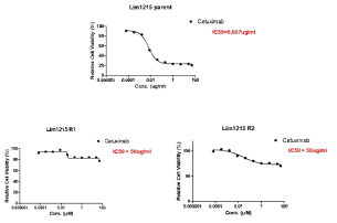 Cetuximab 2차 저항성 대장암 세포주 확인 결과