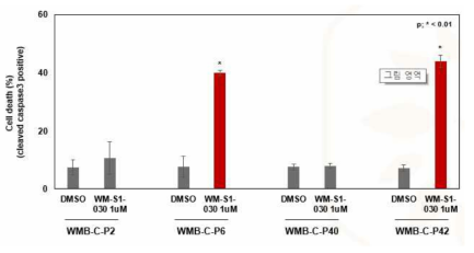 KRAS mutant type 대장암 환자 조직 유래 세포주에서 WM-S1-030 약물반응성 확인